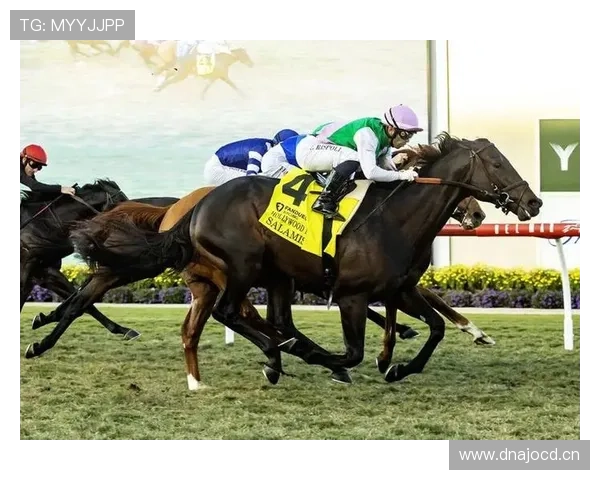 富里睡醒发现自家马场又多两匹纯血马，这月第几次了？