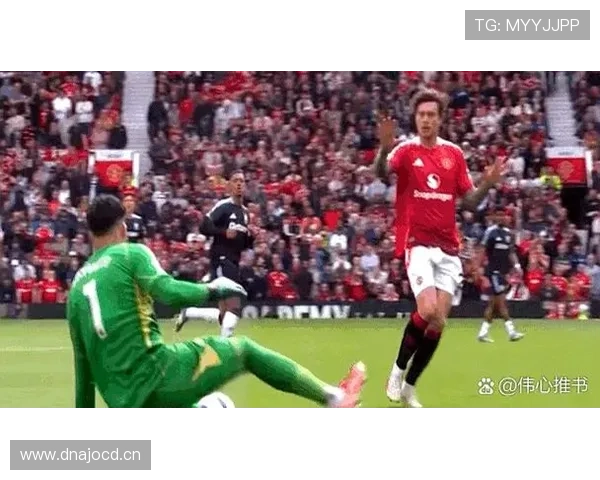 进球被吹越位，VAR判罚到底有哪些关键细节？